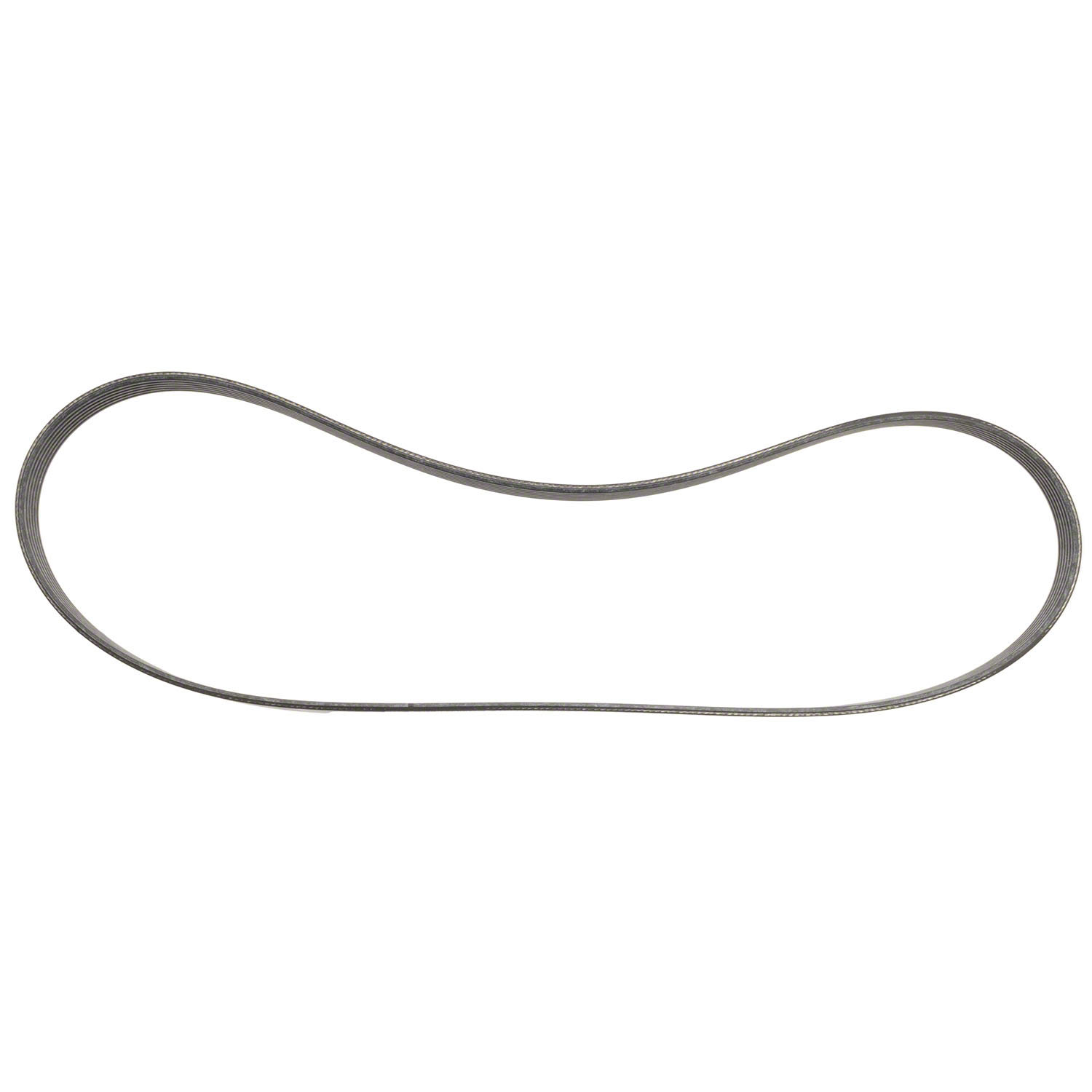 Serpentine Belt | FordUS